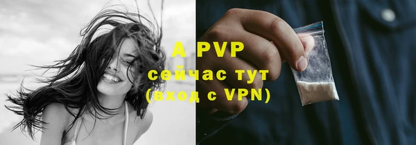 стафф Зеленокумск