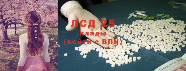 стафф Зеленокумск