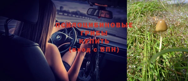не бодяженный Зеленодольск