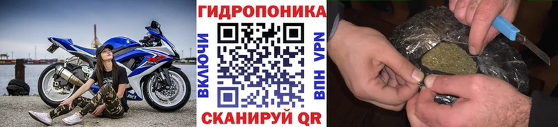 Конопля White Widow  Купить где  Заозёрный 